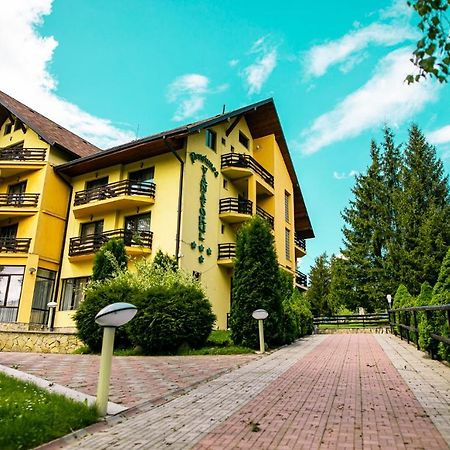 Pensiunea Vanatorul Ватра Дорней Екстериор снимка